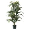 Plante artificielle cordyline, 57'' - Décors Véronneau