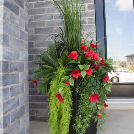 Exterior red hibiscus hanging bush, 35