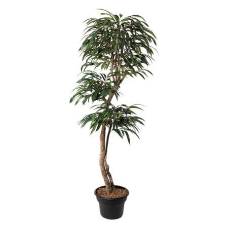 Arbre ficus alii artificiel fait main