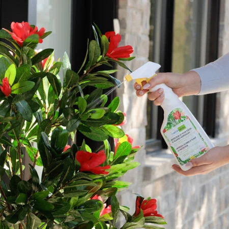 Vaporisateur de protection UV pour fleurs et plantes artificielles, 500 ml - Décors Véronneau
