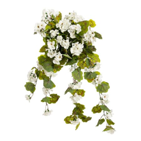 Géranium suspendu extérieur blanc, 35