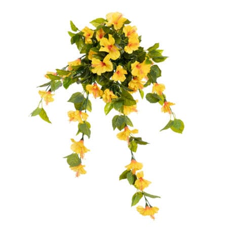 Hibiscus suspendu extérieur jaune, 35
