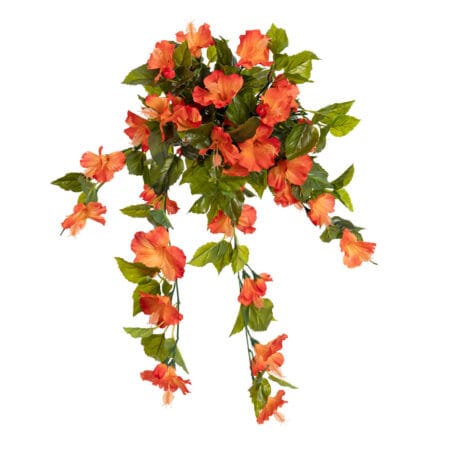 Hibiscus suspendu extérieur orange, 35