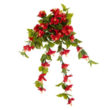 Hibiscus suspendu extérieur rouge, 35