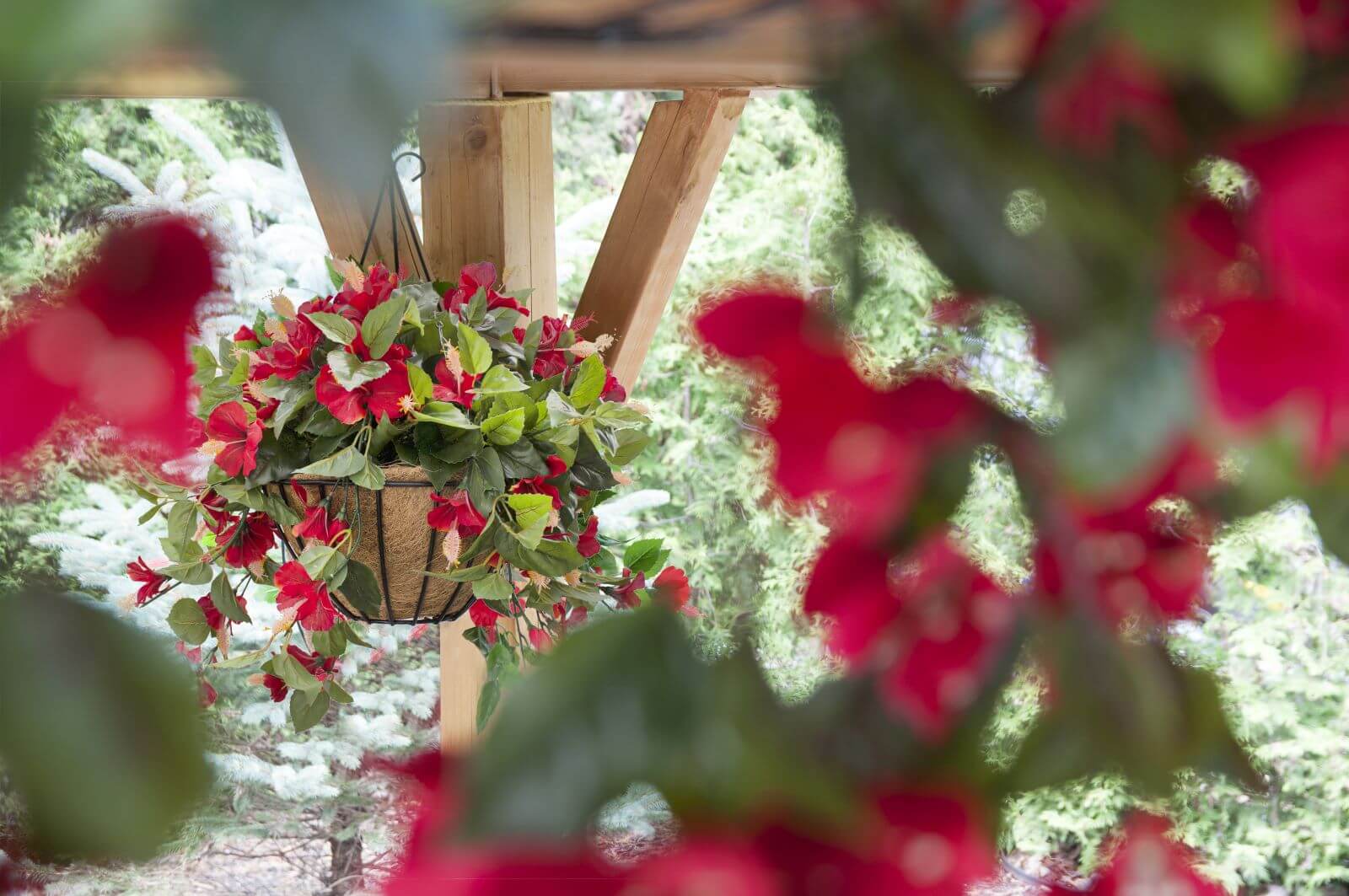 Jardinière d'hibiscus rouge - Décors Véronneau