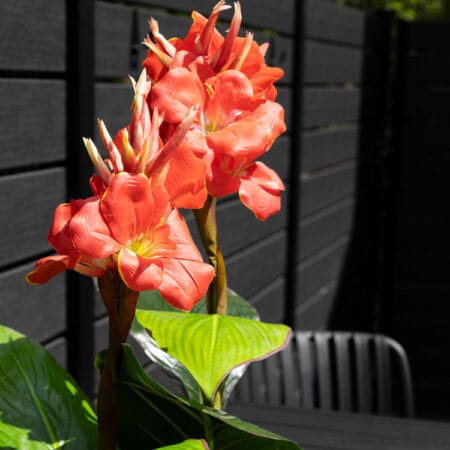 Plante artificielle extérieure, canna rouge, 60'' - Décors Véronneau