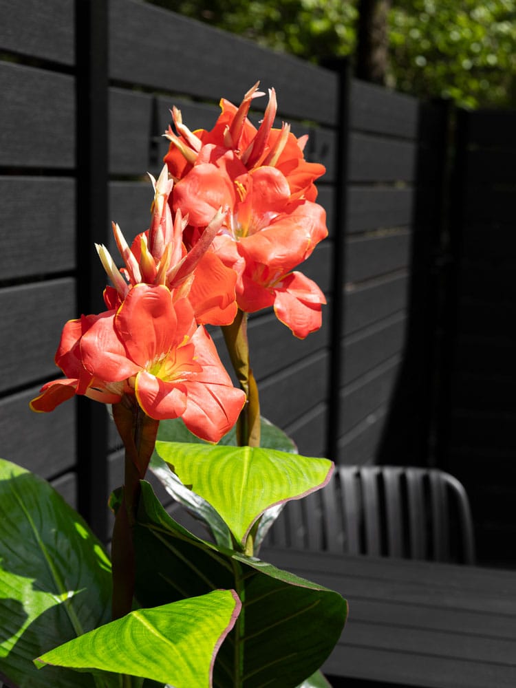 Plante artificielle extérieure, canna rouge - Décors Véronneau
