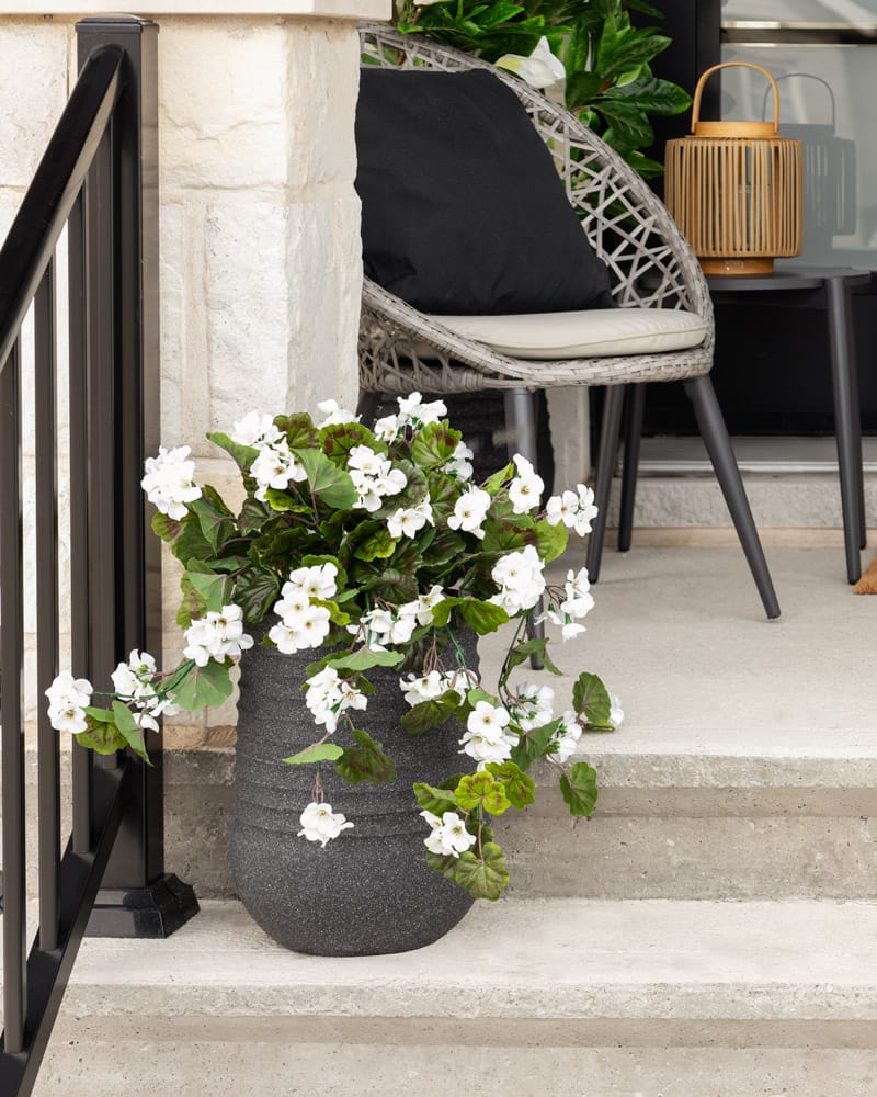 Plant de géraniums blancs dans un décor moderne - Décors Véronneau