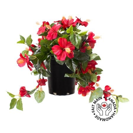 Red hibiscus in black plastic planter 22 x 12