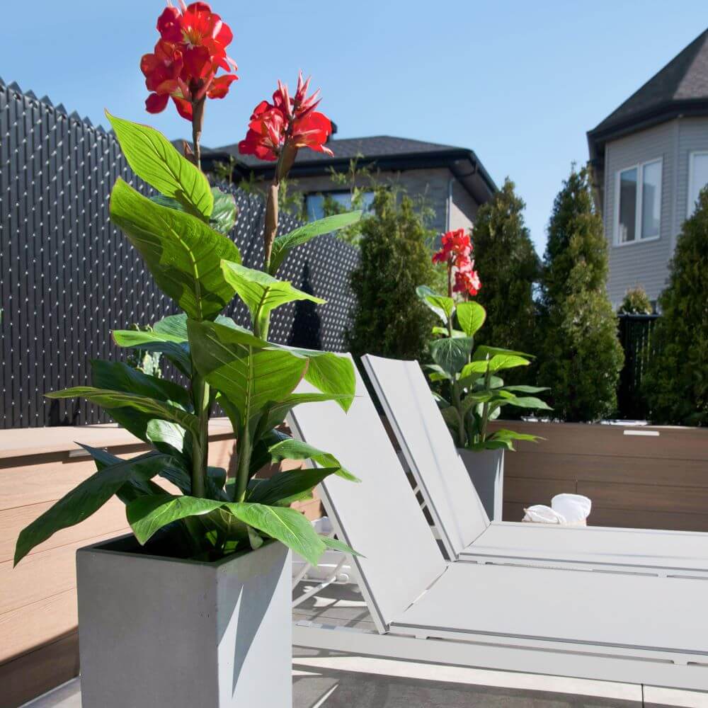 Canna rouge artificiel extérieur chaise longue - Décors Véronneau