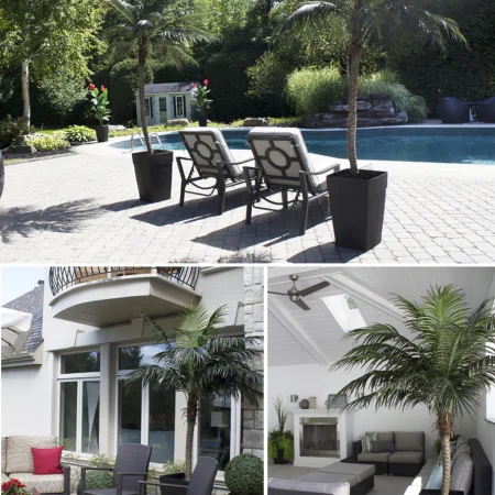 9.5' Phoenix Palm tree - Décors Véronneau