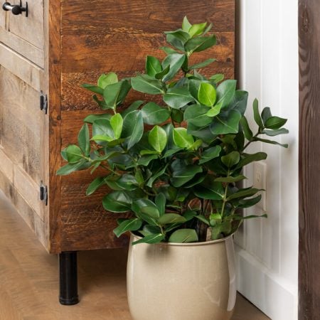 Beige round planter - Décors Véronneau