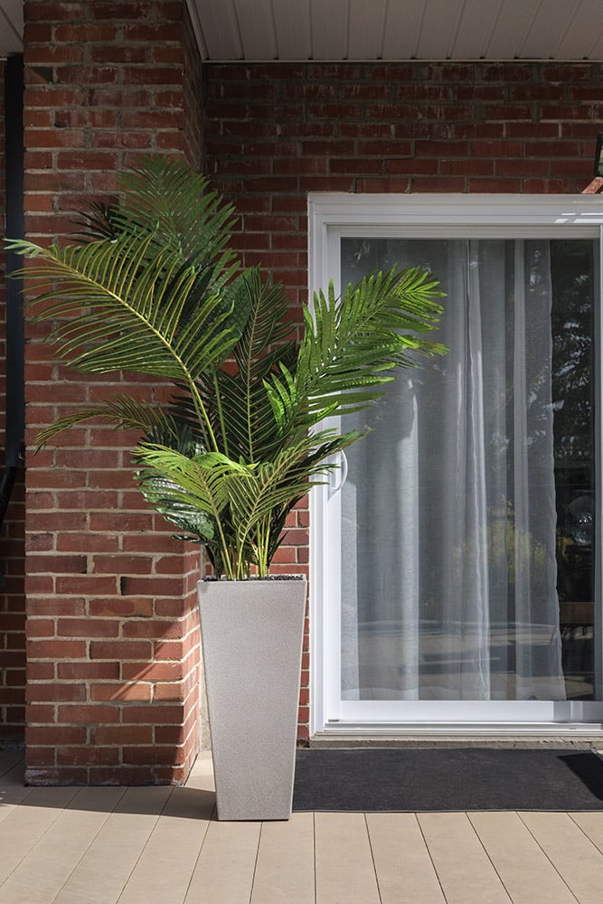 Palmier areca dans un pot de plastique gris - Décors Véronneau