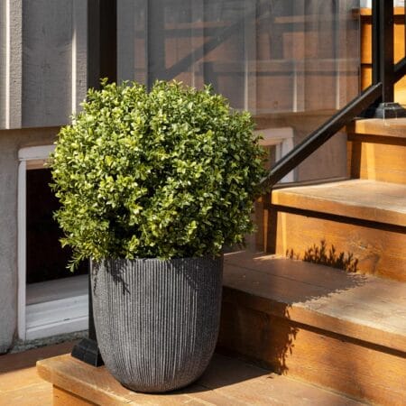 Cache-pot extérieur évasé noir en polypropylène - Décors Véronneau