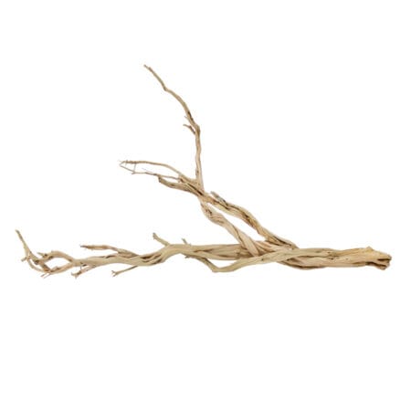 Branche de bois de grève ghostwood sablé, 48''