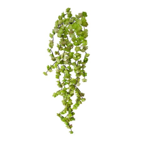 Bouquet de petites succulentes retombantes vertes, 22