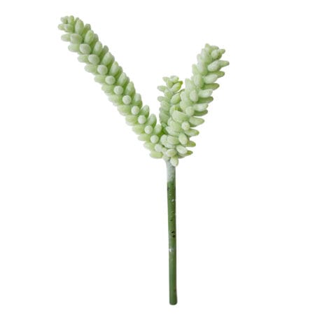 Cactus vert-jaune sur tige - Décors Véronneau