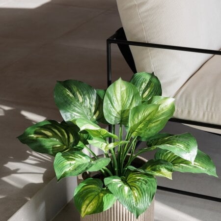 Artificial hosta houseplant, 22'' - Décors Véronneau