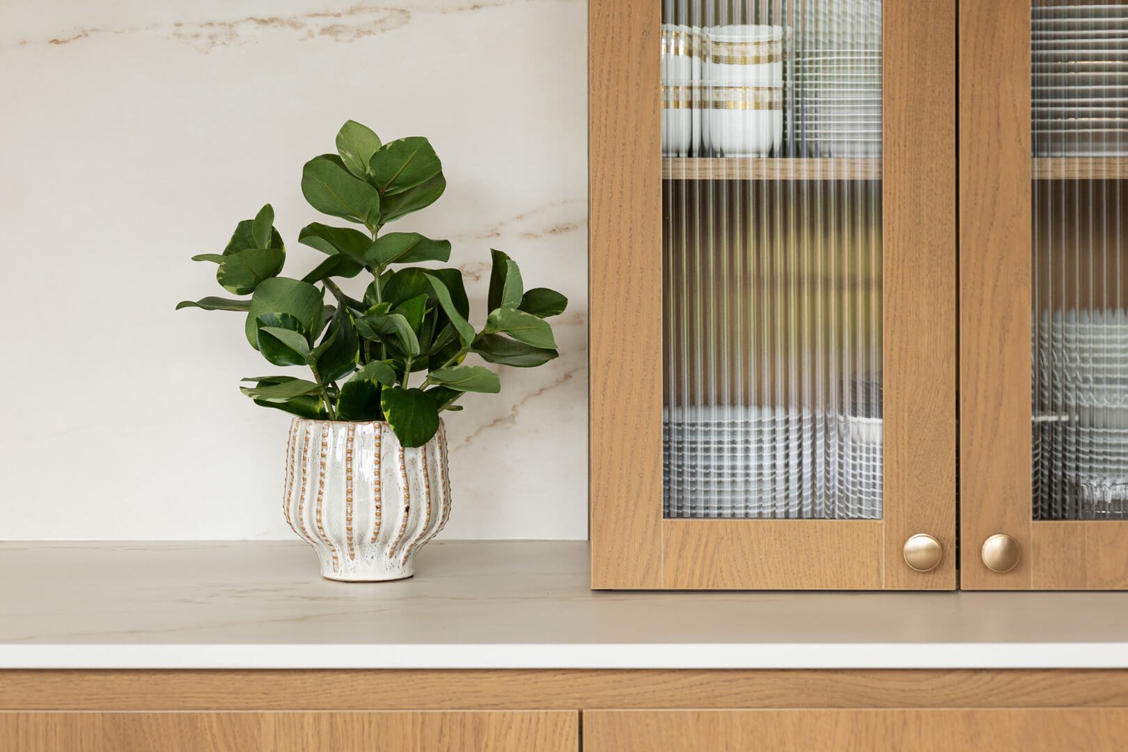 Petite plante artificielle clusia en pot de céramique dans une cuisine - Décors Véronneau