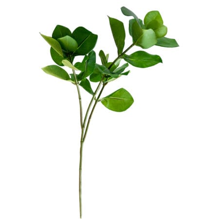 Branche de clusia artificiel, 22''