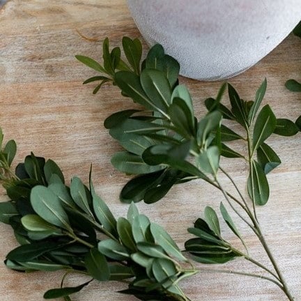 Artificial pittosporum branch, 22'' - Décors Véronneau