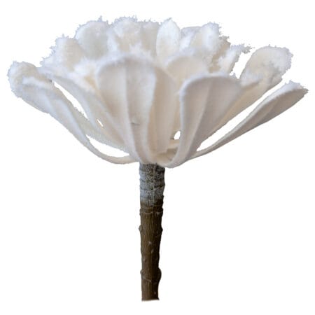Artificial white succulent, 6