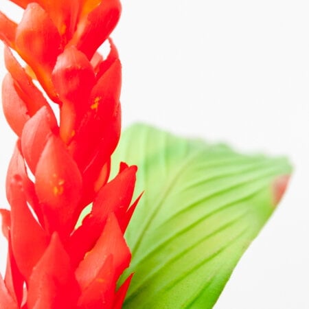 Orange Heliconia Stem With Greenery - Décors Véronneau