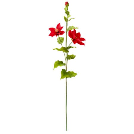 Clématite rouge sur tige 34