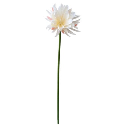 Artificial White Night Blooming Cactus Flower, 32