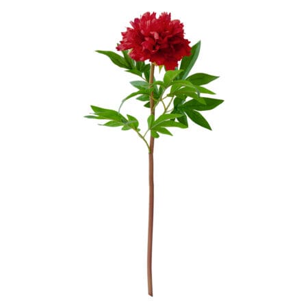 Pivoine rouge sur tige 26