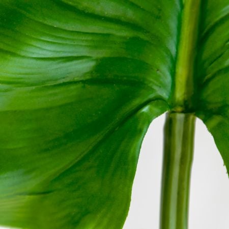 Feuille de calla sur tige 30