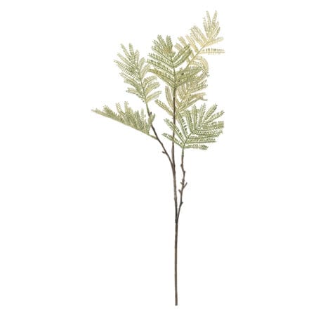 Feuillage de mimosa artificiel - Décors Véronneau