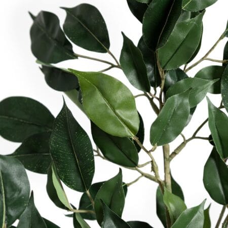 Feuillage ficus nitida ignifuge, 24'' - Décors Véronneau