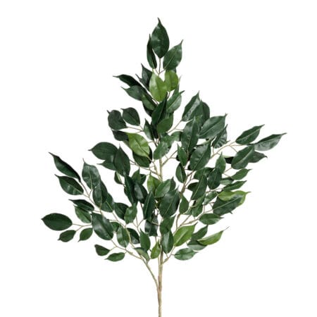 Feuillage ficus nitida ignifuge, 24''