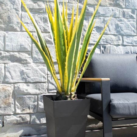 Yellow agave artificial outdoor plant, 45