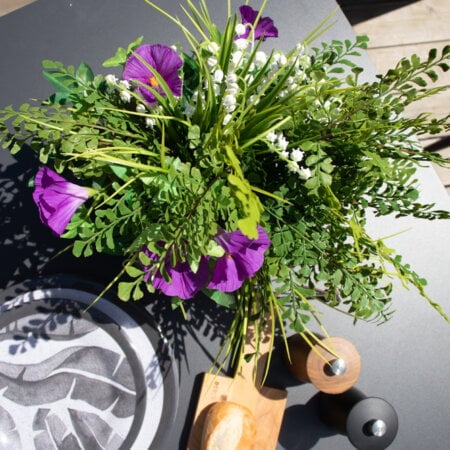 Hanging Morning Glory, 50