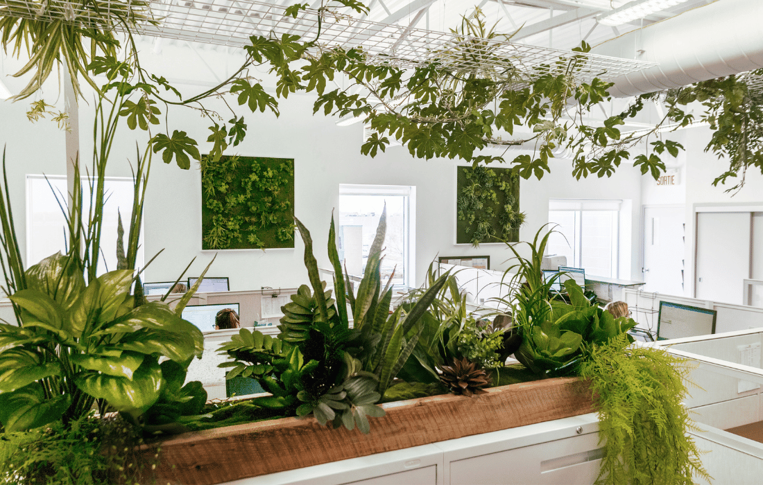 Décoration De Bureau Avec Plantes Vertes De L'arbre Espace De