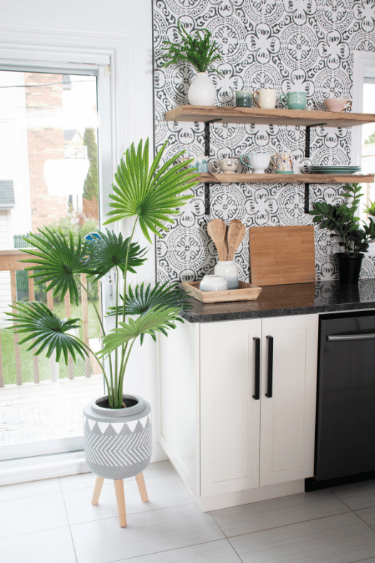 Cuisine scandinave avec palmier en pot sur pied - Décors Véronneau