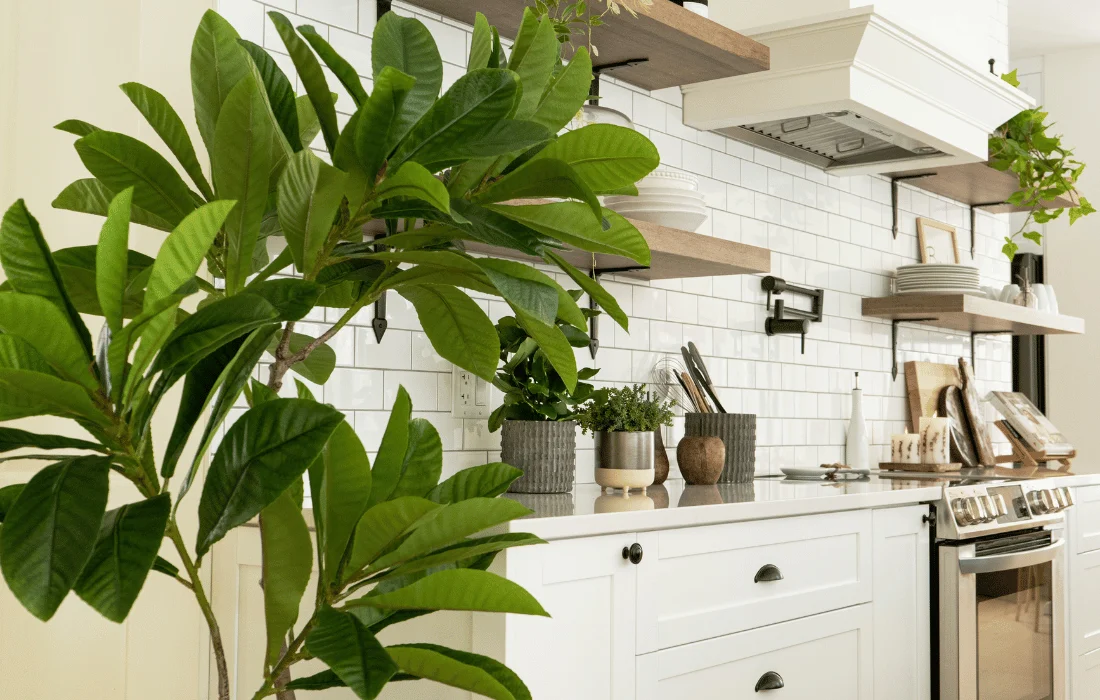 Why Choose Artificial Plants Vs Real Plants? - Dcors Vronneau