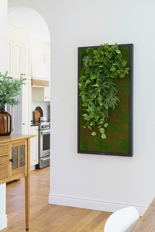 Cadre végétal artificiel dans une cuisine - Décors Véronneau