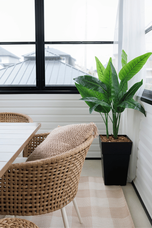 Oiseau du paradis dans un solarium - Décors Véronneau