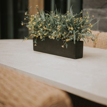 Small yellow wild starflowers, 20