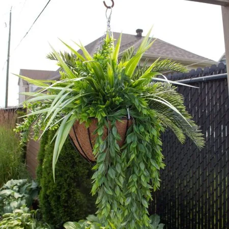 Outdoor hanging plant of cycas and grass, 32 x 26