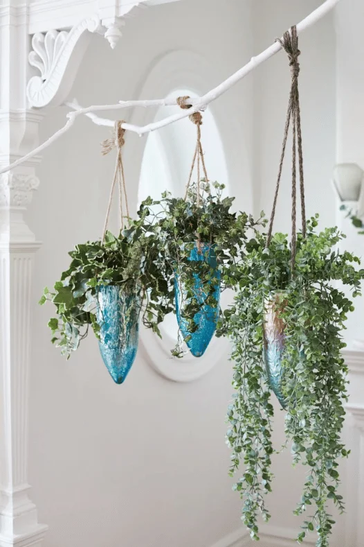 All About Hanging Plants - Dcors Vronneau