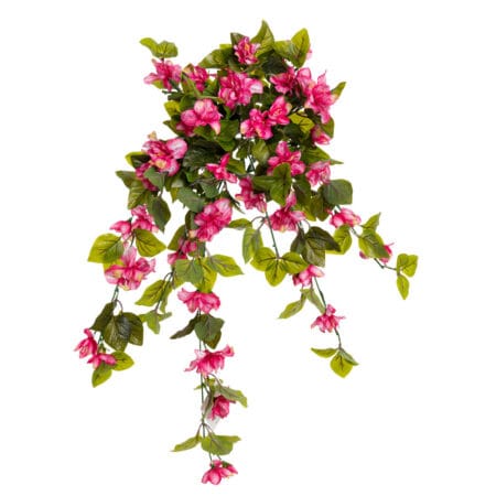 Azalée suspendue extérieure rose pâle, 29