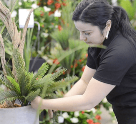 Fleuriste arrangement de cycas - Décors Véronneau