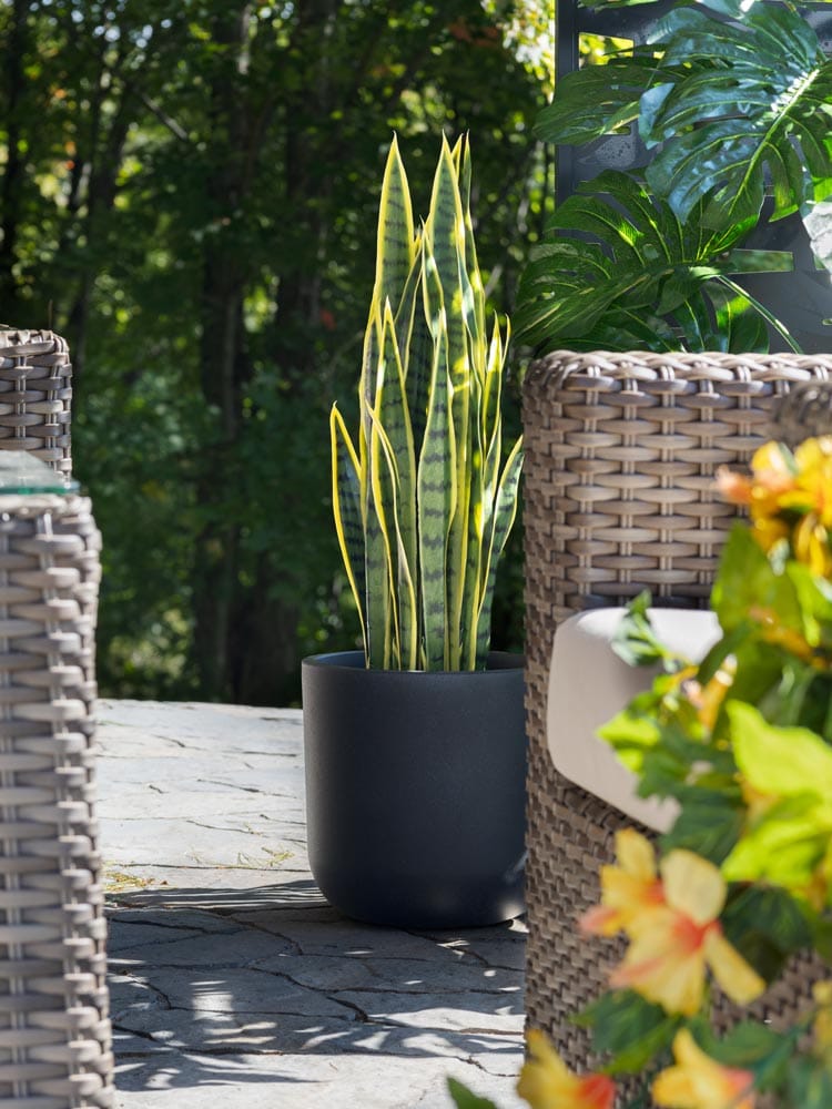 Sansevière extérieure artificielle en pot sur une terrasse - Décors Véronneau
