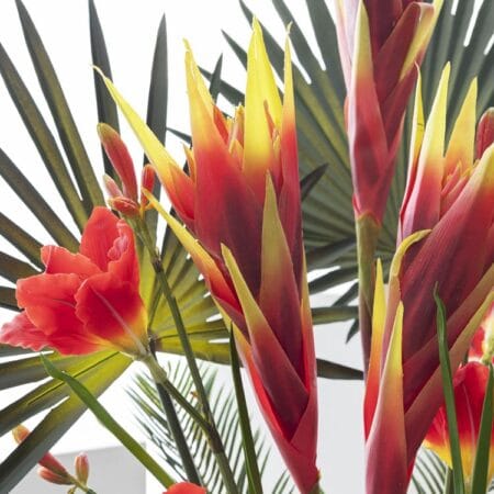 Red Hawaiian Bromeliad, 31
