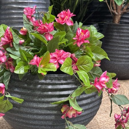 Azalées en pot de culture noir, 22 x 12