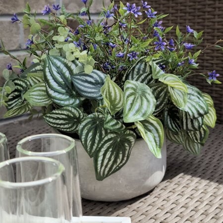 Artificial peperomia and purple outdoor flower centerpiece, 13 x 14'' - Décors Véronneau